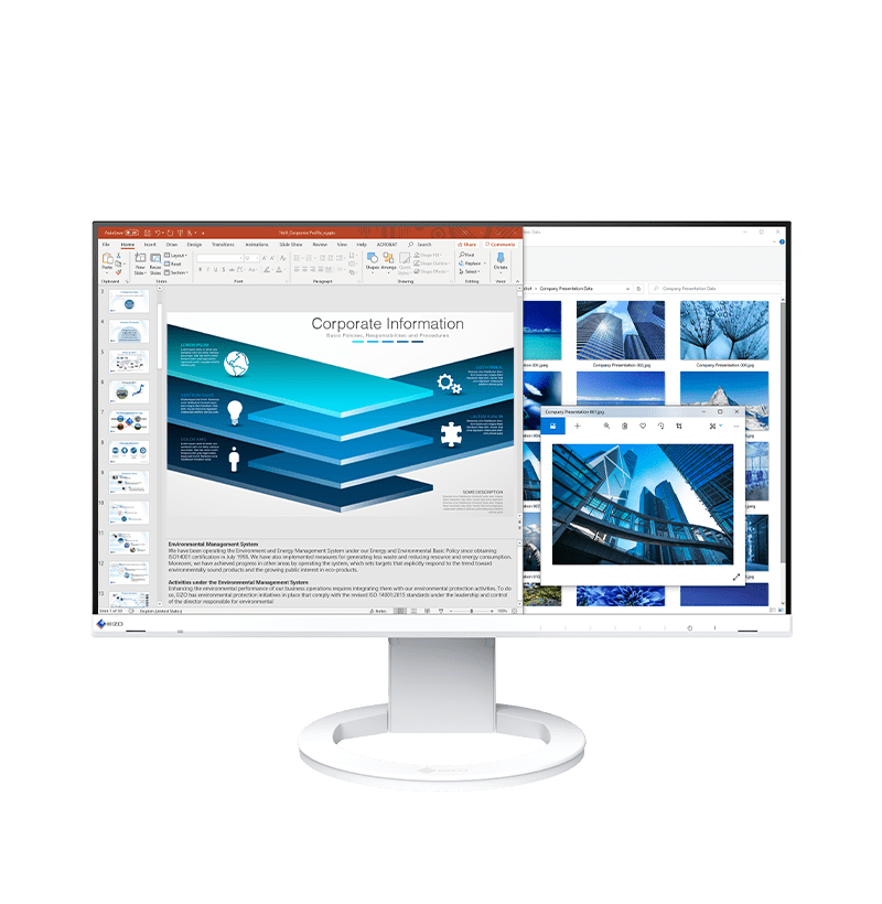 EIZO FlexScan EV2480-Z