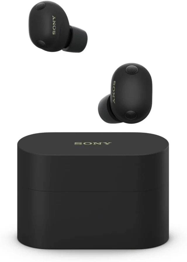 Sony WF-1000XM6 製品画像